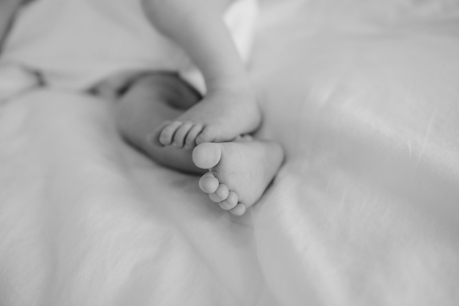 Black and white newborn feet