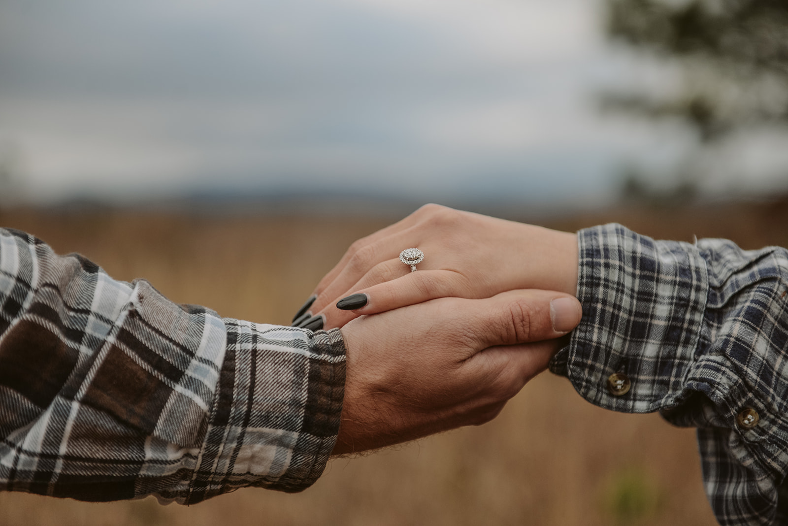Engagement portrait near apple orchard in Ellijay Georgia