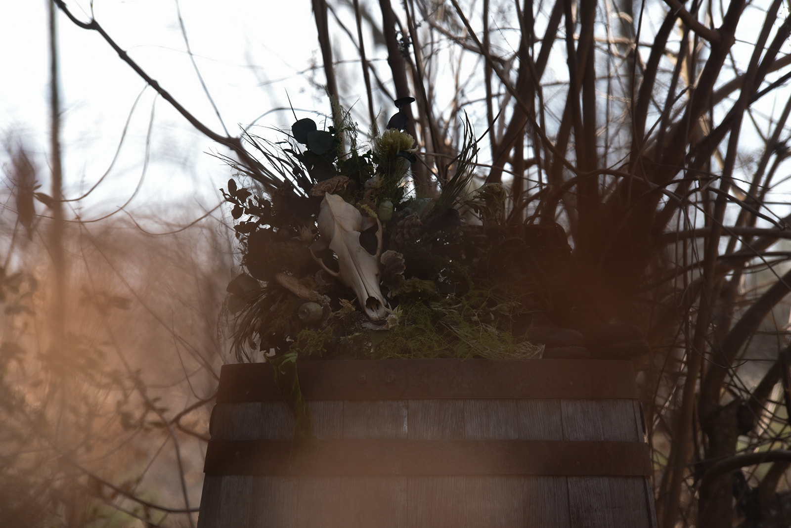 Shaina + Dustin wedding at Juliette Chapel · Dahlonega, GA — frame 1